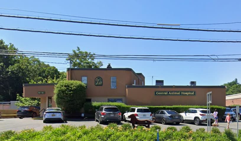 Central Animal Hospital