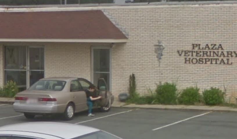 Plaza Veterinary Hospital