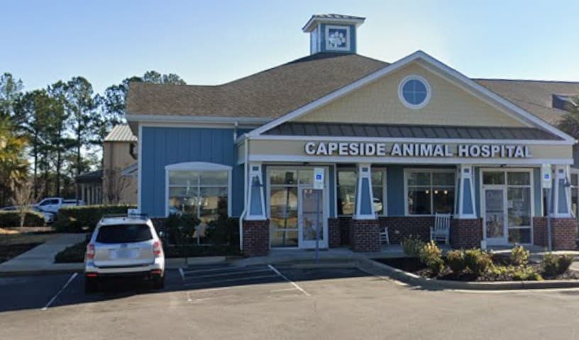 Capeside Animal Hospital