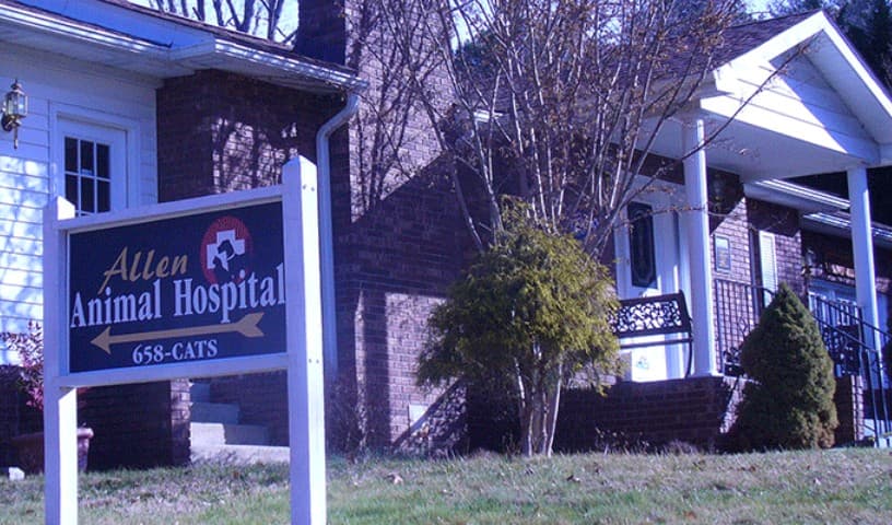 Allen Animal Hospital