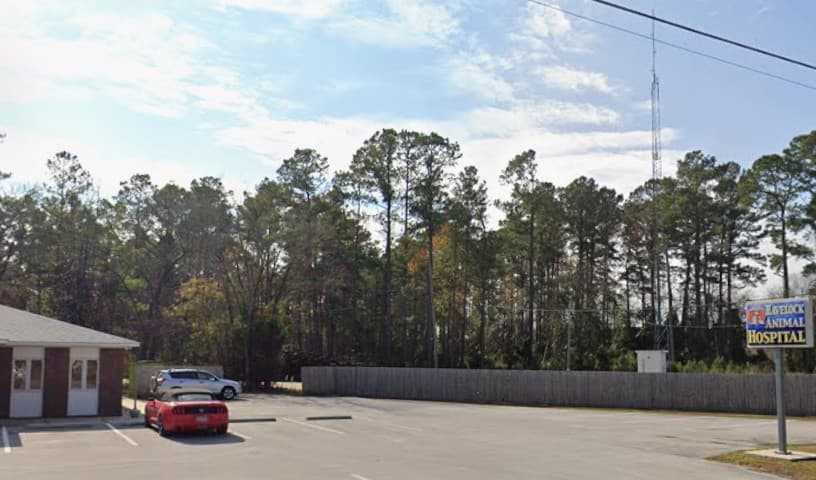 Havelock Animal Hospital