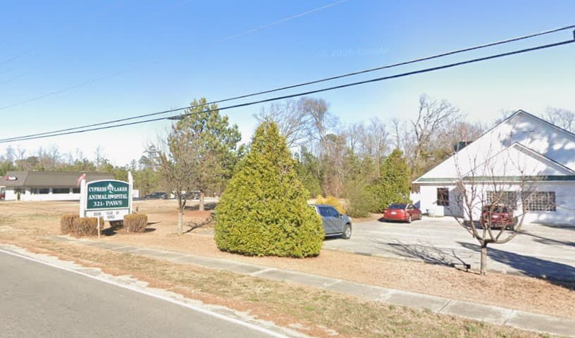 Cypress Lakes Animal Hospital