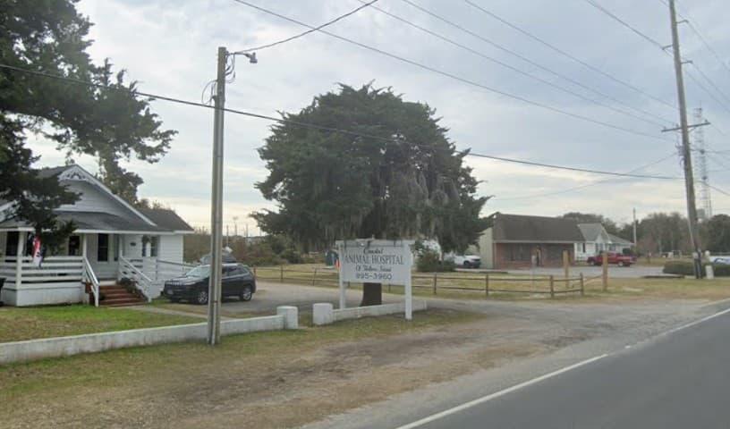 Coastal Animal Hospital of Hatteras Island