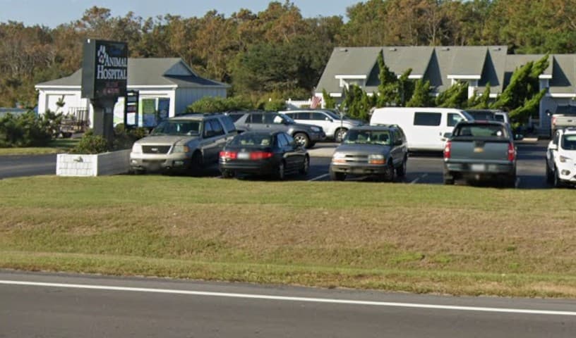 Coastal Animal Hospital