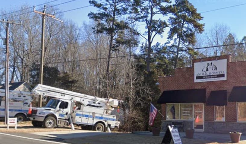 Animal Hospital of East Davie, P.C.