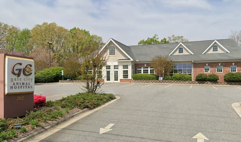Gate City Animal Hospital