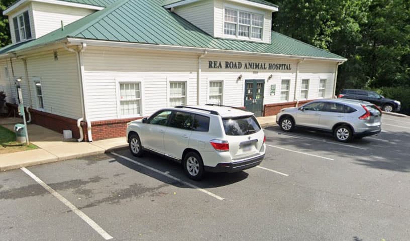 Rea Road Animal Hospital