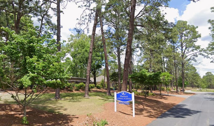 Sandhill Veterinary Hospital