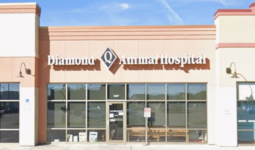 Diamond Q Animal Hospital
