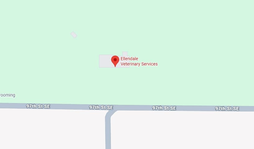 Ellendale Animal Hospital