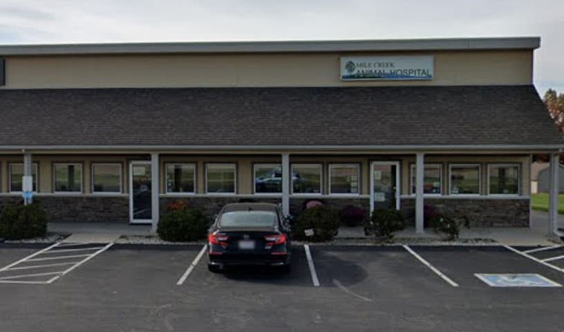 Mile Creek Animal Hospital