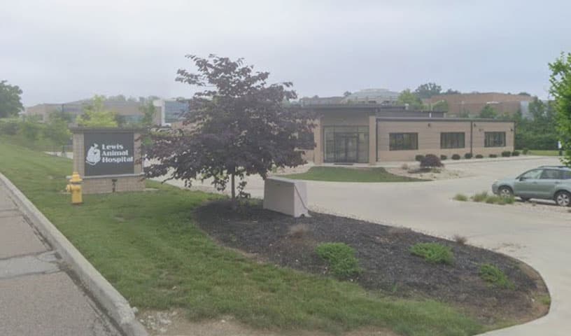 Lewis Animal Hospital