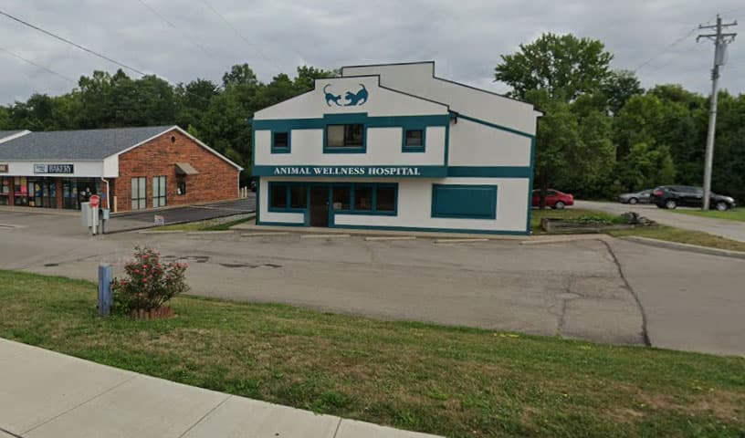 Allison Veterinary Hospital