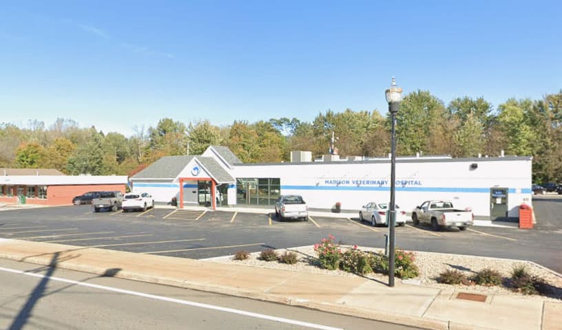 Madison Veterinary Hospital