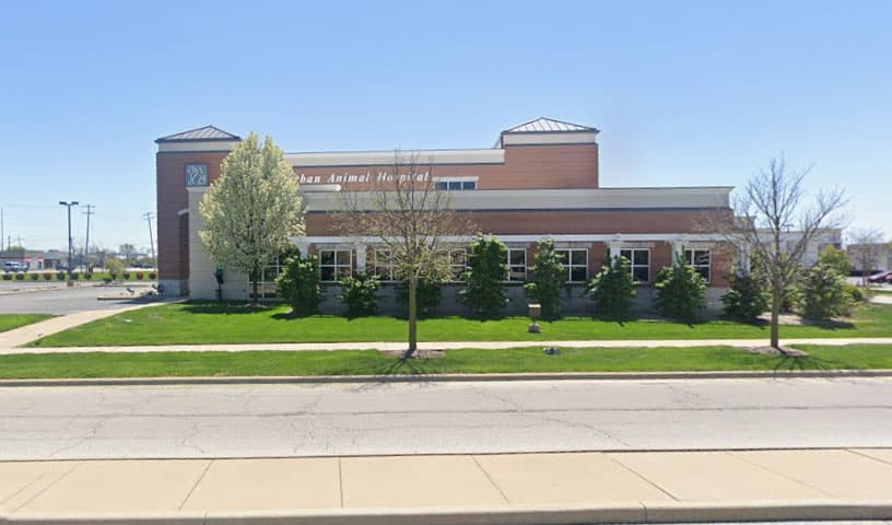 South Suburban Animal Hospital