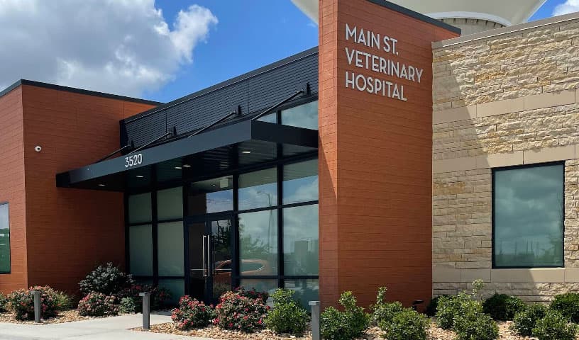 Main St Veterinary Hospital
