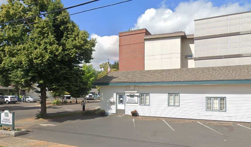 Third Street Veterinary Hospital