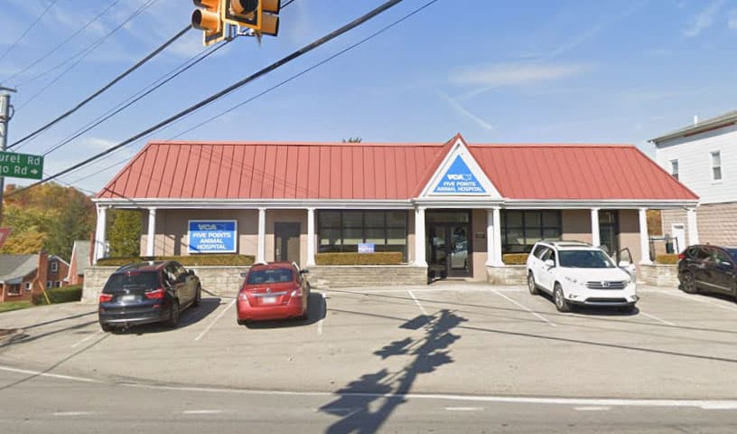 VCA Five Points Animal Hospital