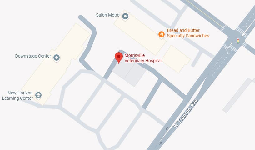 Morrisville Veterinary Hospital
