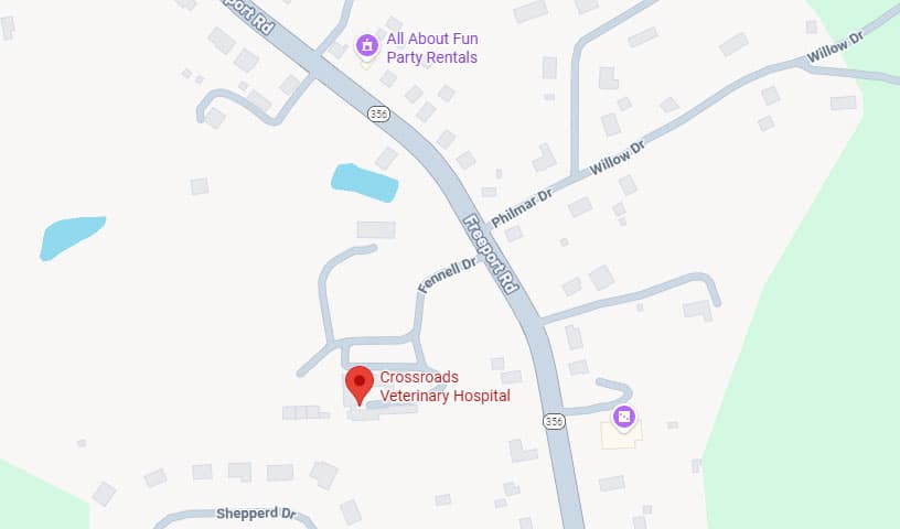 Crossroads Veterinary Hospital