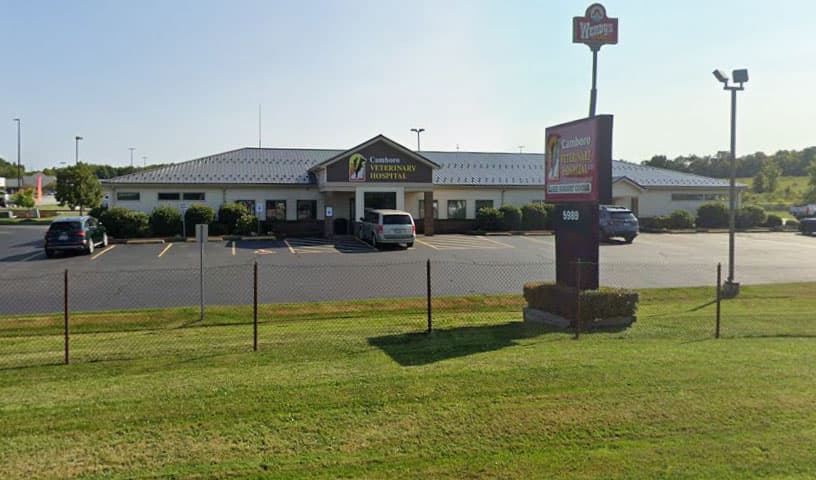 Camboro Veterinary Hospital