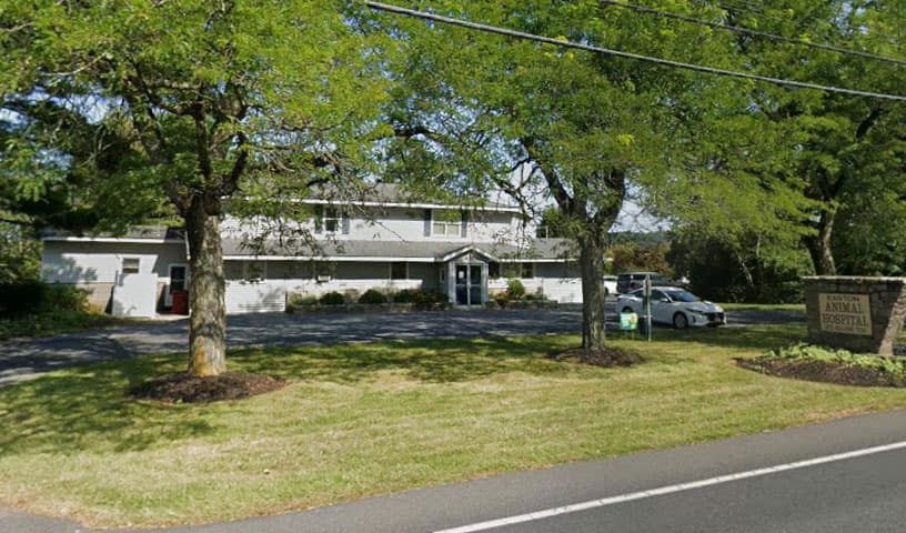 Easton Animal Hospital