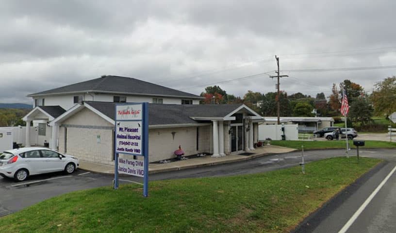 Mt Pleasant Animal Hospital