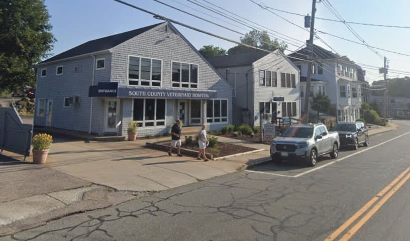 South County Veterinary Hospital