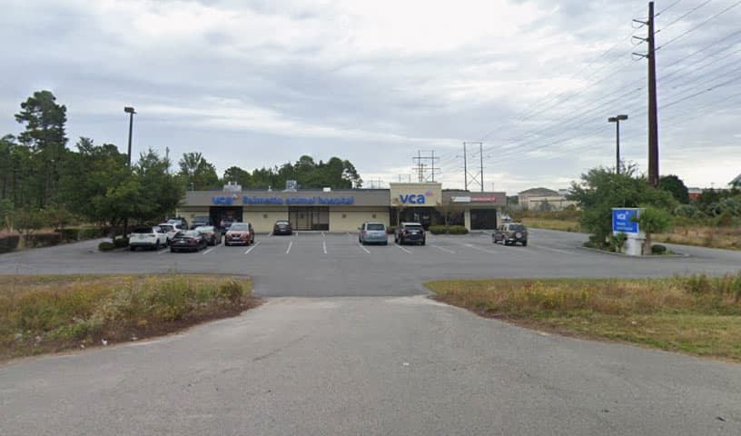 VCA Palmetto Animal Hospital