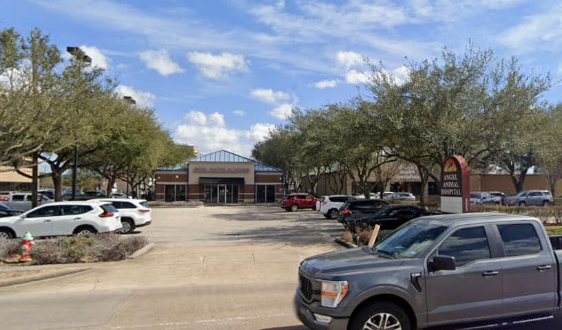 Angel Animal Hospital