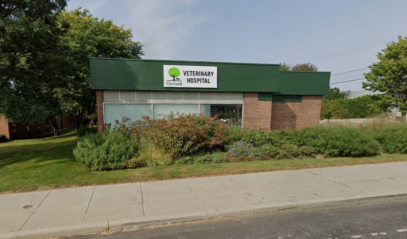 Orchard Veterinary Hospital