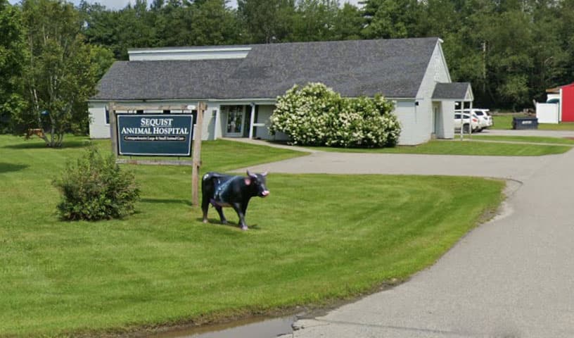 Sequist Animal Hospital
