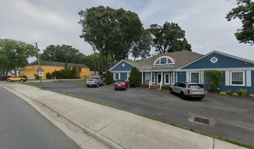 Beach Pet Hospital