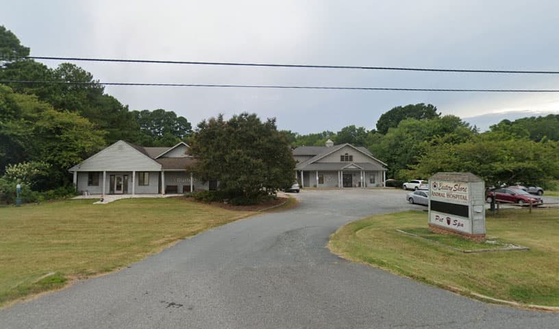 Eastern Shore Animal Hospital
