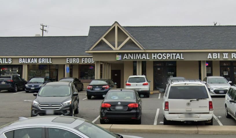 Paws Purrs and Exotic Animal Hospital