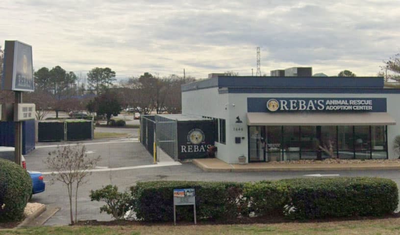 Reba's Animal Rescue