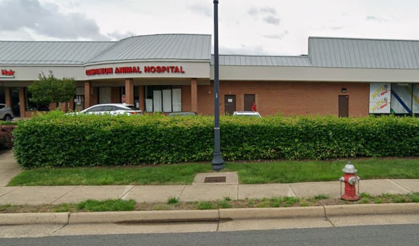Companion Animal Hospital