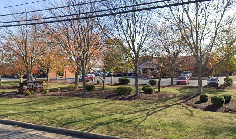 White Oak Animal Hospital