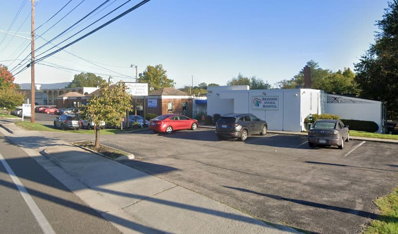 Brandon Animal Hospital
