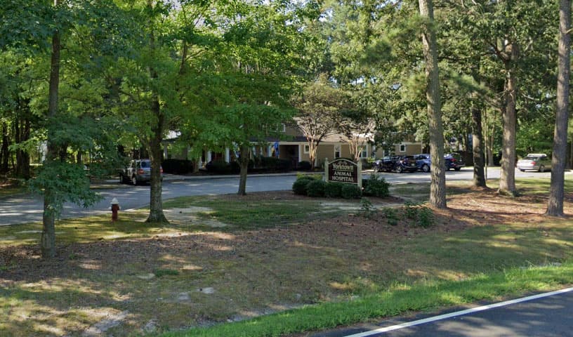 Yorktown Animal Hospital