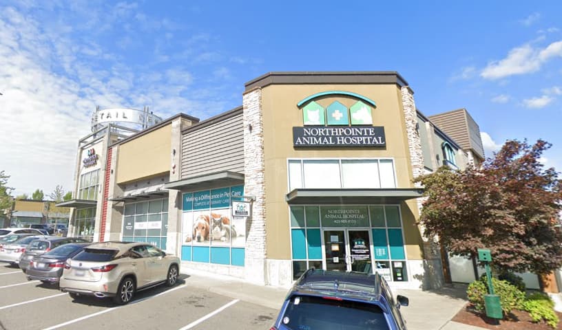 Northpointe Animal Hospital