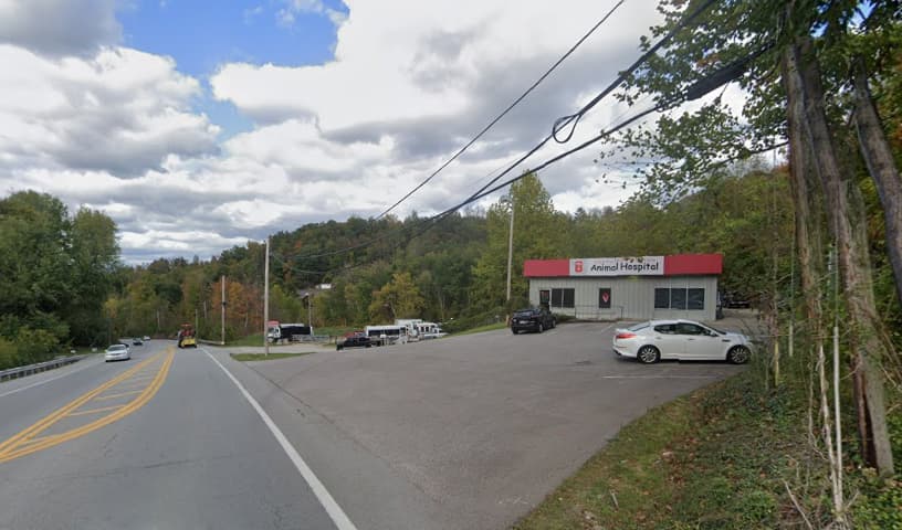 South Huntington Animal Hospital