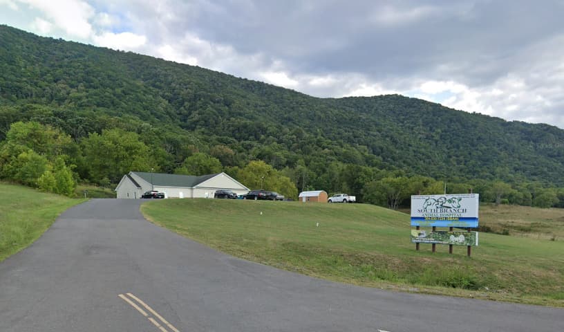 South Branch Animal Hospital
