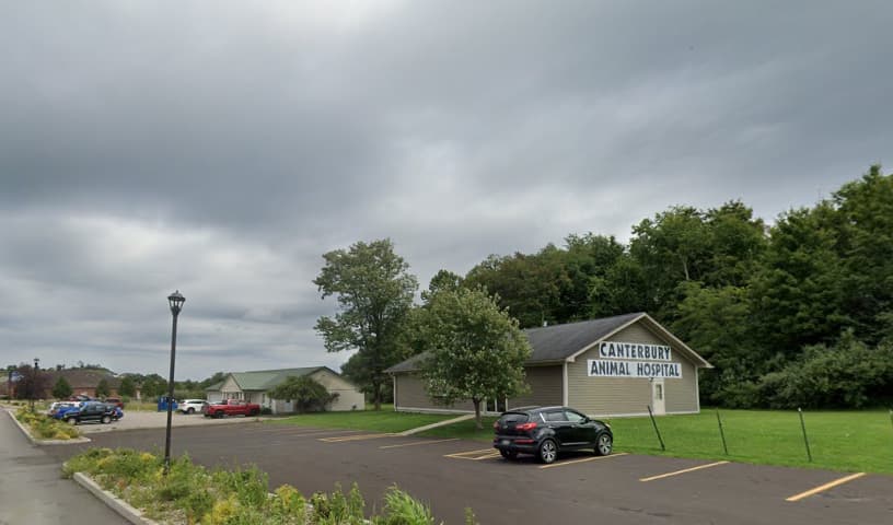 Canterbury Animal Hospital