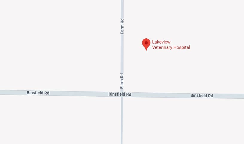 Lakeview Veterinary