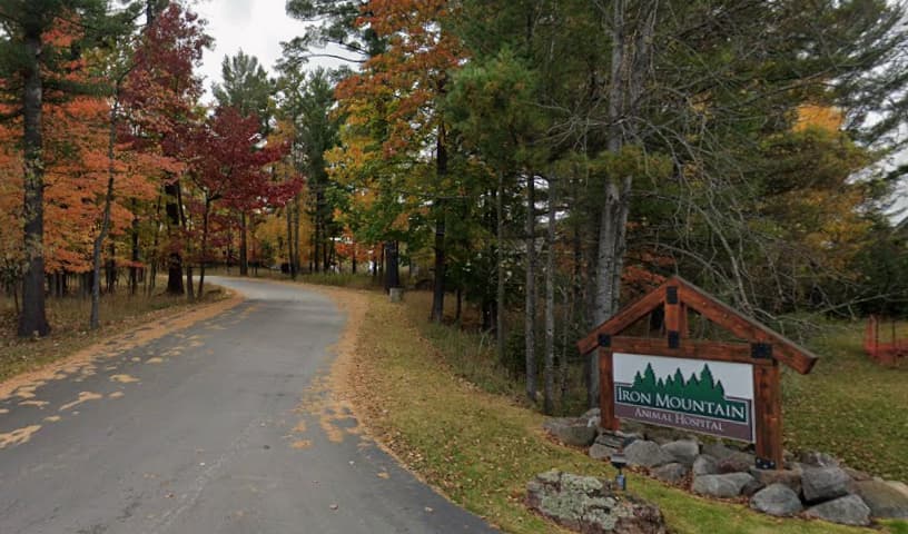 Iron Mountain Animal Hospital