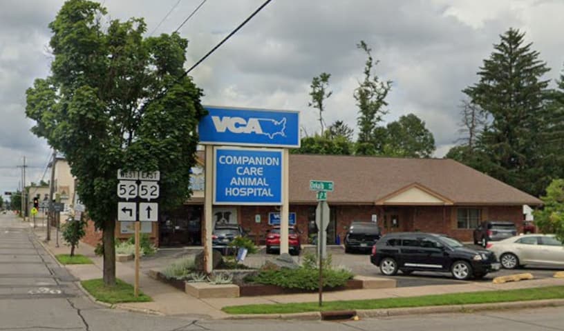 VCA Companion Care Animal Hospital