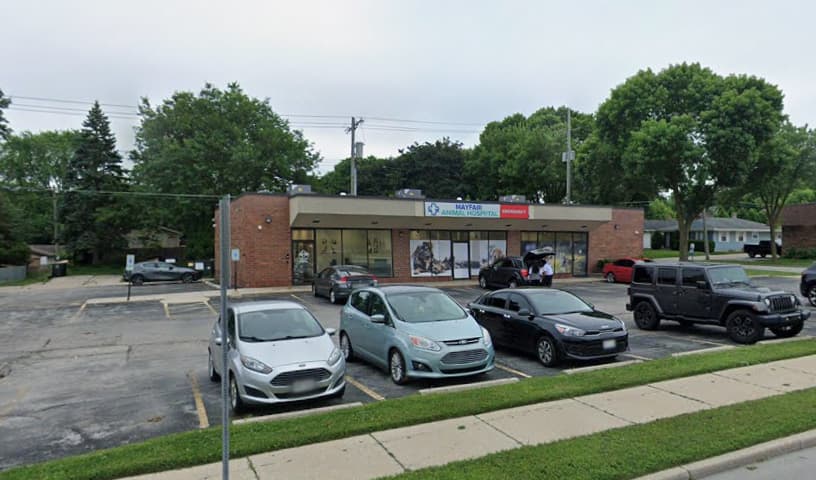Mayfair Animal Hospital & ER