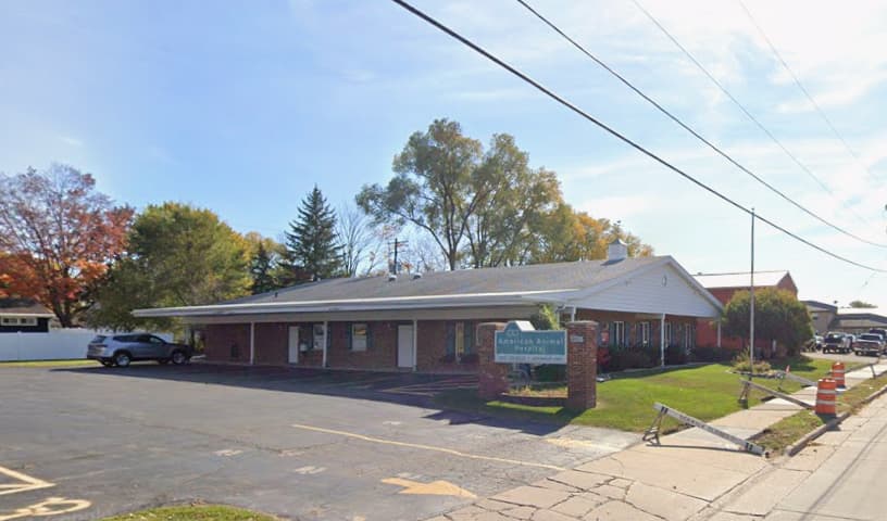 American Animal Hospital