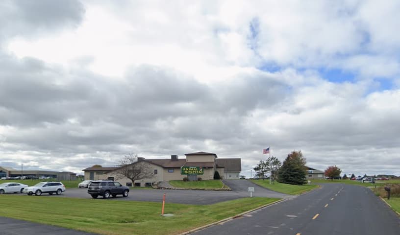 Wildwood Animal Hospital